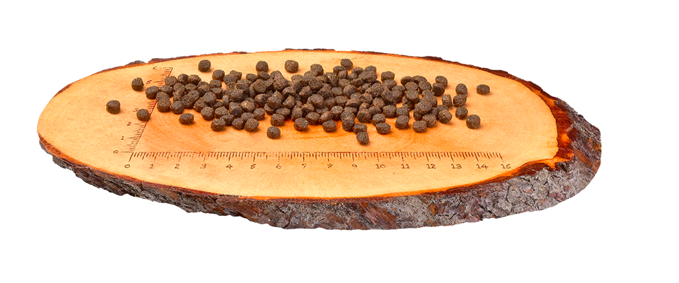 Carnilove Kitten Salmon Turkey PETSPLANS