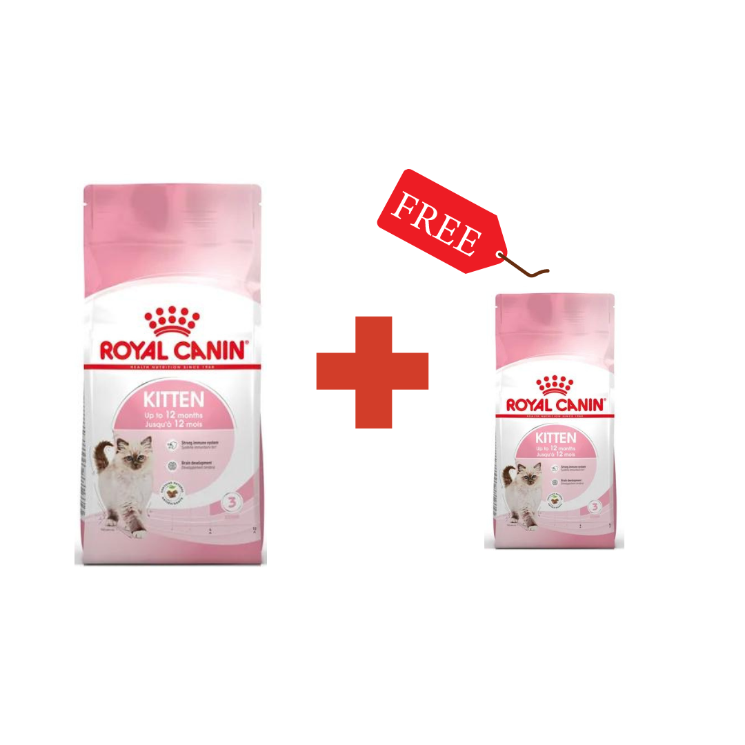 Royal Canin Aliment Sec pour Chat Kitten 2 Kg + 400 G Offert