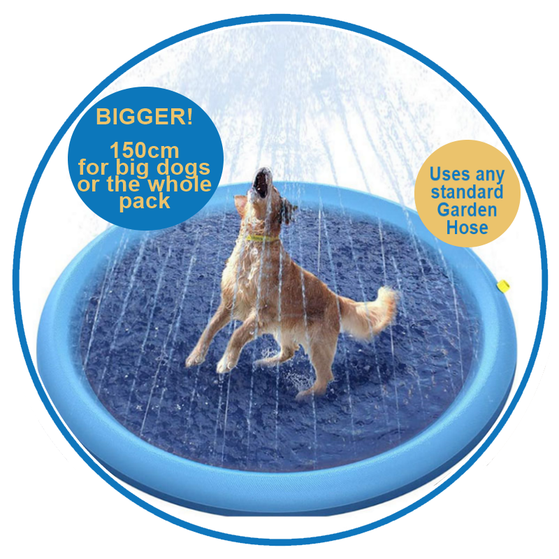 Splash Pool Ferribiella ( Piscine pour chiens) 150 cm