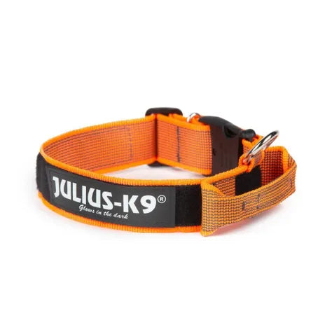 Orange Julius-K9 intervention collar with Color&amp;amp;Gray® handle (SMALL)