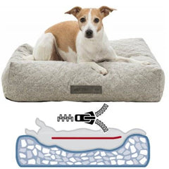 Coussin Orthopédique Vital Noah gris