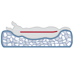 Coussin Orthopédique Vital Noah gris