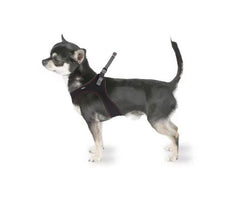 Harnais Spidy pour Chiens de Moyenne et Petite Taille Noir