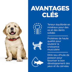 HILL'S SCIENCE PLAN Aliment Sec Chien Large Breed Puppy