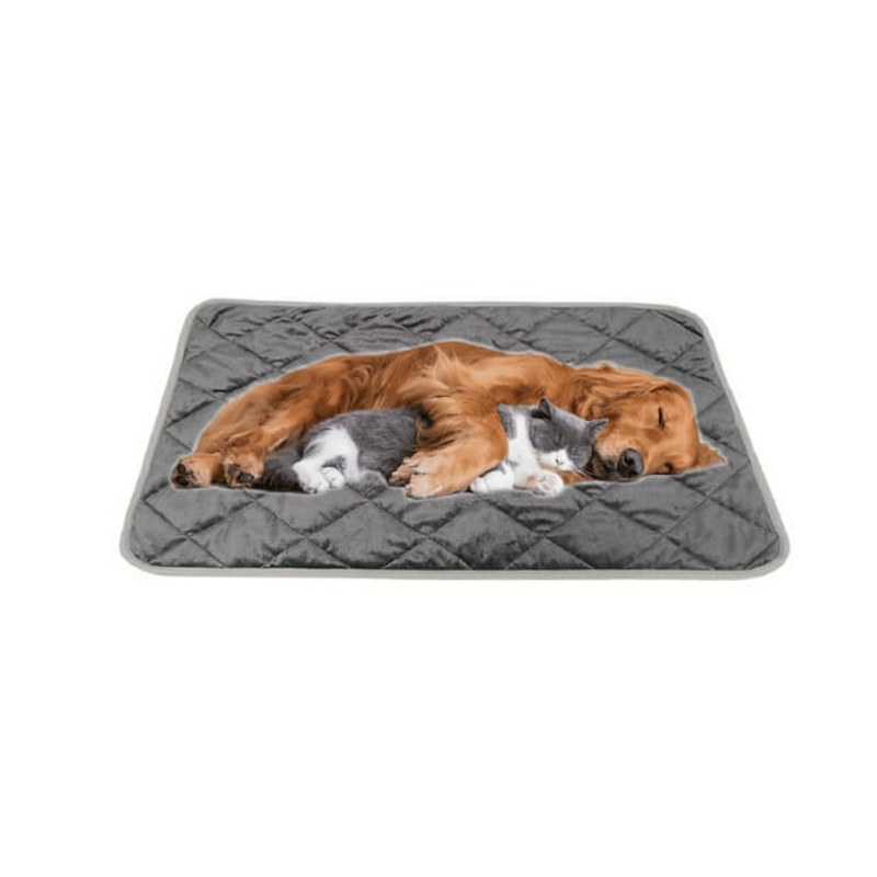 tapis chauffant pour chien et coussins chauffants – Les Canins Branchés